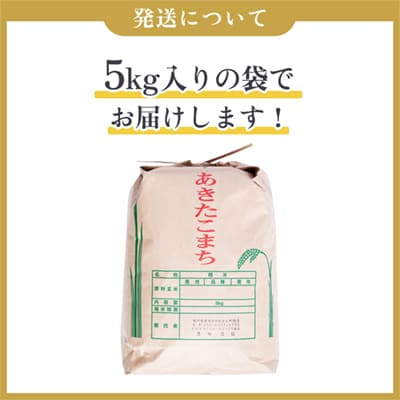 R7年産 あきたこまち 精米5kg【豊田農園】