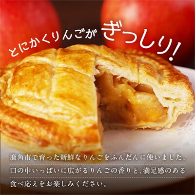 アップルパイ 14cmホール×2個【レディースファーム】