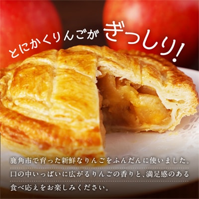 アップルパイ&パンプキンパイホールセット【レディースファーム】