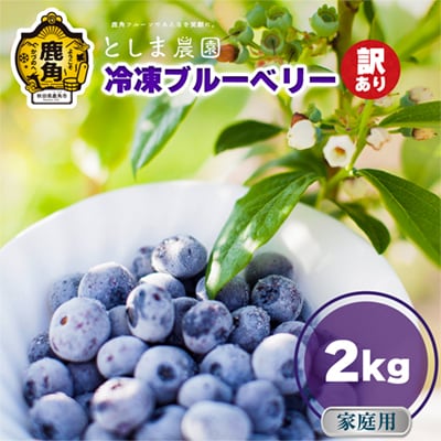 【訳あり】冷凍ブルーベリー 家庭用 2kg(サイズMIX)【としま農園】