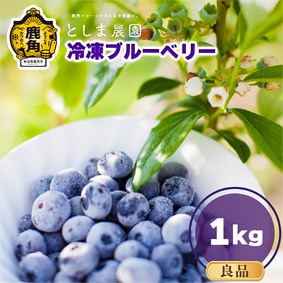 冷凍ブルーベリー 良品 1kg(サイズMIX)【としま農園】