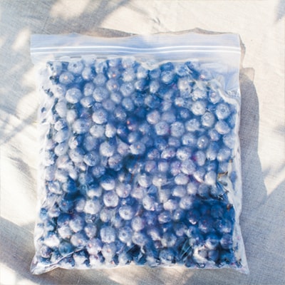 冷凍ブルーベリー 良品 1kg(サイズMIX)【としま農園】