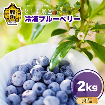 冷凍ブルーベリー 良品 2kg(サイズMIX)【としま農園】