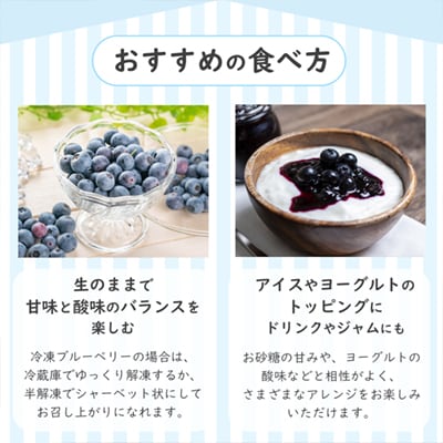冷凍ブルーベリー 良品 2kg(サイズMIX)【としま農園】