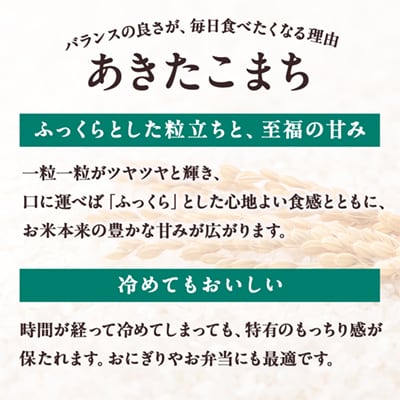 あきたこまち 白米 5kg【トライズ】