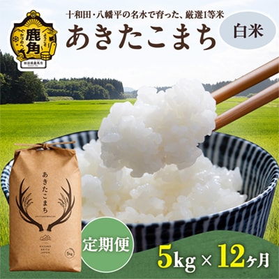 【定期便】あきたこまち 白米 5kg×12カ月【トライズ】
