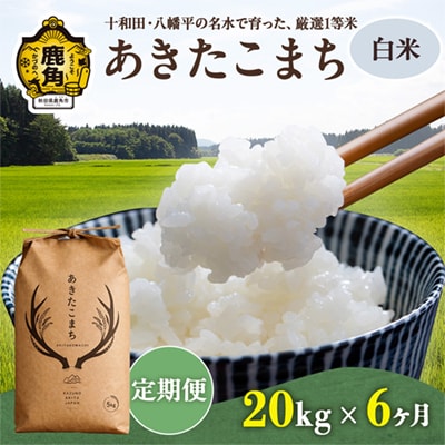 【定期便】あきたこまち 白米 20kg×6カ月【トライズ】