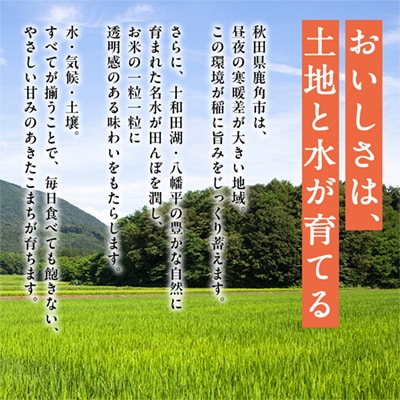 【定期便】あきたこまち 無洗米 10kg×6カ月【トライズ】