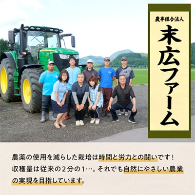 【12月発送】末広産 あきたこまち 無洗米5kg【末広ファーム】