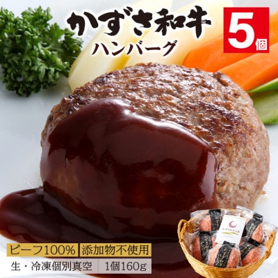 千葉県産ブランド牛「かずさ和牛」ハンバーグ(生)5個セット【KWH-5】 F-33z
