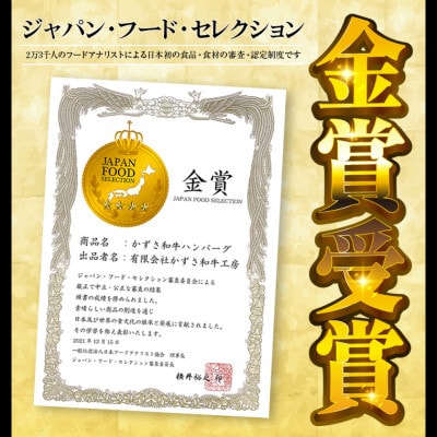 千葉県産ブランド牛「かずさ和牛」ハンバーグ(生)10個セット【KWH-10】