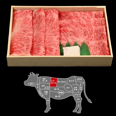 富津市産「かずさ和牛」すき焼き肉(リブロース)400g/3人前【KSS-40】　F-20z