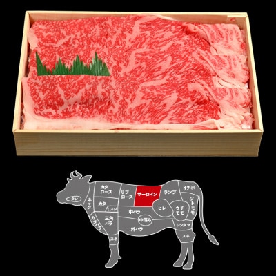 富津市産「かずさ和牛」しゃぶしゃぶ肉(サーロイン)600g/4人前【KVS-60】　F-24z
