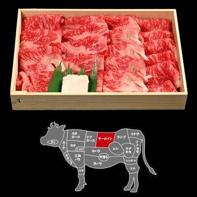 富津市産「かずさ和牛」網焼き肉(サーロイン)600g/4人前【KYS-60】　F-27z