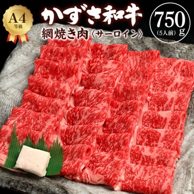 富津市産「かずさ和牛」網焼き肉(サーロイン)750g/5人前【KYS-75】　F-28z
