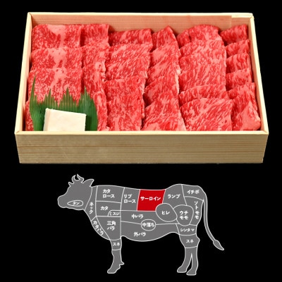 富津市産「かずさ和牛」網焼き肉(サーロイン)750g/5人前【KYS-75】　F-28z