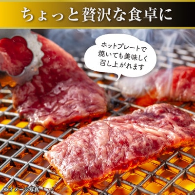 富津市産「かずさ和牛」網焼き肉(サーロイン)750g/5人前【KYS-75】　F-28z