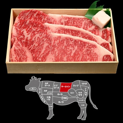 富津市産「かずさ和牛」サーロインステーキ肉 200g×3枚(600g)【KR-3】　F-30z