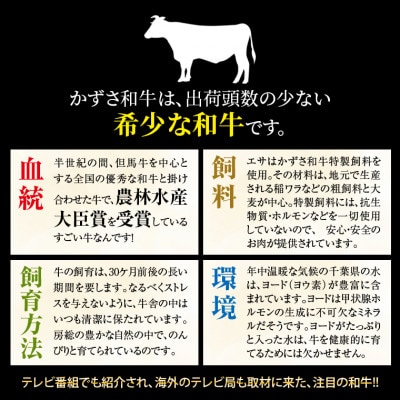 富津市産「かずさ和牛」サーロインステーキ肉 200g×3枚(600g)【KR-3】　F-30z