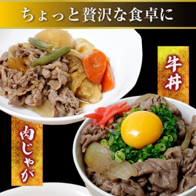 富津市産「かずさ和牛」切り落とし 550g(275g×2パック)【KKO-2】　F-18zz