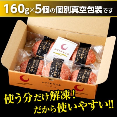 千葉県産ブランド牛「かずさ和牛」ハンバーグ(生)5個セット【KWH-5】　F-33z