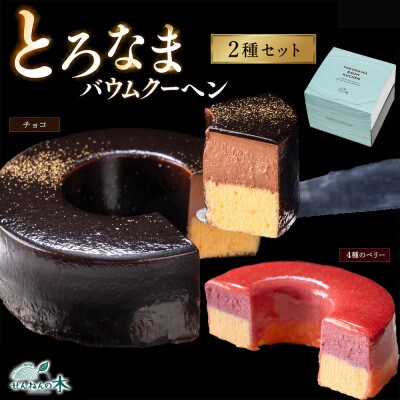とろなまバウムクーヘン「とろなま2種セット(チョコ・4種のベリー)」 せんねんの木