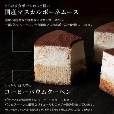 とろなまバウムクーヘン「とろなま2種セット(チョコ・ティラミス)」 せんねんの木　CW-3zz