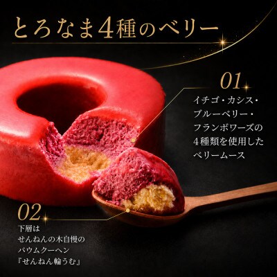 とろなまバウムクーヘン「とろなま2種セット(ティラミス・4種のベリー)」 せんねんの木