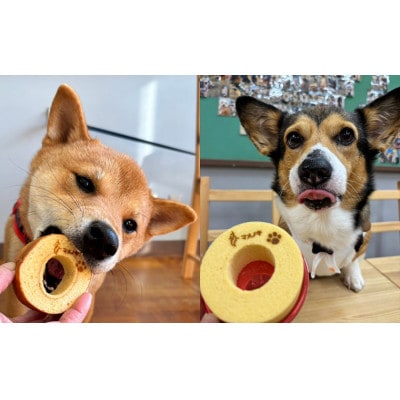 【犬用スイーツ】マメノキわんバウムクーヘン 3個セット(プレーン・かぼちゃ・ほうれん草)　CW-8