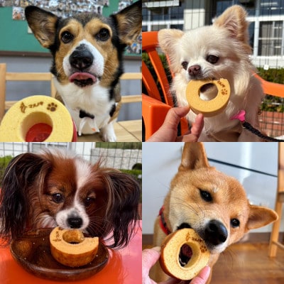 【犬用スイーツ】マメノキわんバウムクーヘン 3個セット(プレーン)　CW-7