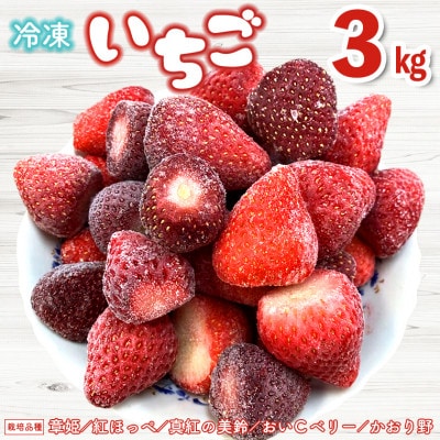 冷凍完熟いちご 3kg(1kg×3パック) 富津アクアファーム AB-12z