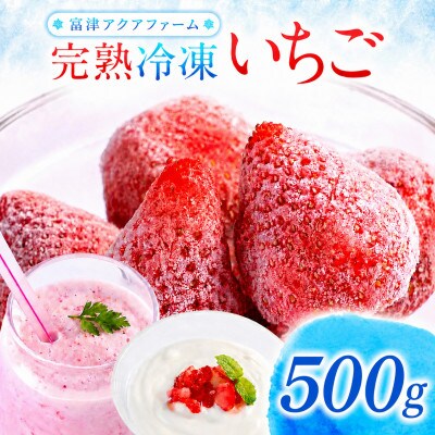 冷凍完熟いちご 500g 富津アクアファーム　AB-17