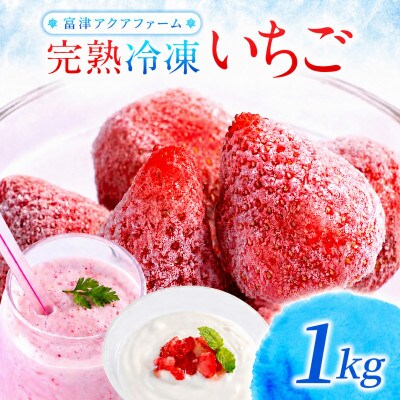 冷凍完熟いちご 1kg 富津アクアファーム　AB-18
