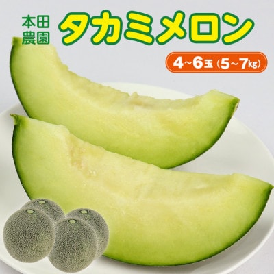 タカミメロン4～6玉(5～7kg)　本田農園　CN-3z