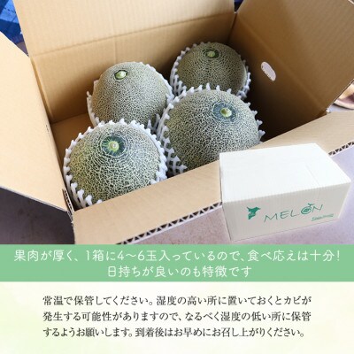 タカミメロン4～6玉(5～7kg)　本田農園　CN-3z