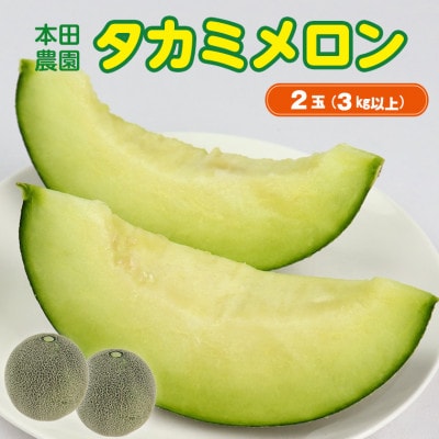 タカミメロン2玉(3kg以上)　本田農園　CN-6