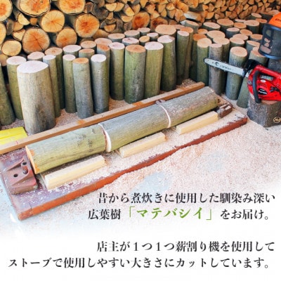 【千葉県富津産】十六代目儀右エ門の薪「マテバシイ」約20kg(未乾燥)　CK-2z