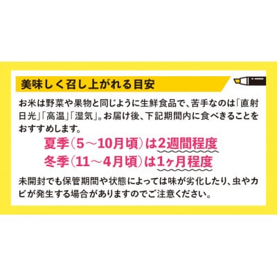 令和7年産 千葉富津産「コシヒカリ」10kg(精米)　竹ノ内米店　G-84r7