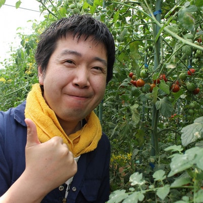 ミニトマト「ネネ」1.6kg(200g×8パック)　BU-7