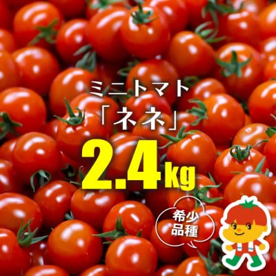 ミニトマト「ネネ」2.4kg(200g×12パック)　BU-8