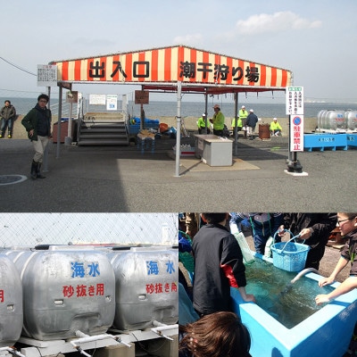 富津海岸 潮干狩入り浜券(大人2枚・網袋付)　C-7z