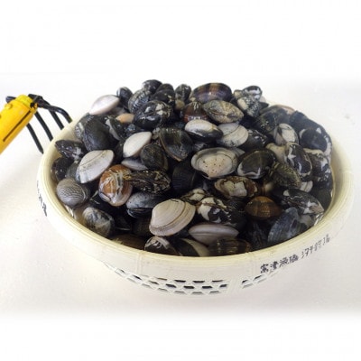 富津海岸 潮干狩入り浜券(大人2枚・小人2枚・網袋付)　C-9z