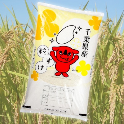 令和7年産 千葉富津産「粒すけ」10kg(5kg×2袋) 精米　かじや米店　BV-86r7b