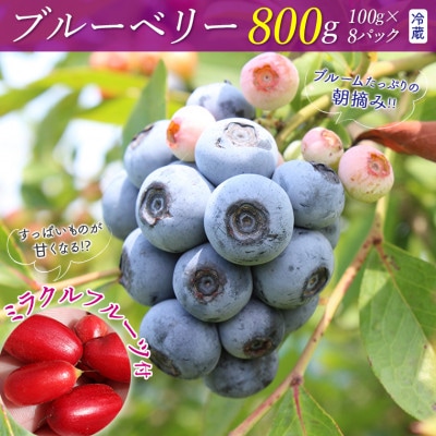 ミラクルフルーツ付き♪朝摘みブルーベリー800gセット　E-3d