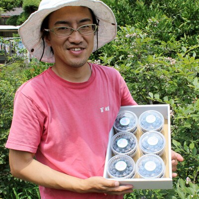 朝摘みブルーベリー1.2kg(冷蔵)【8月～9月上旬発送分】　E-6e89