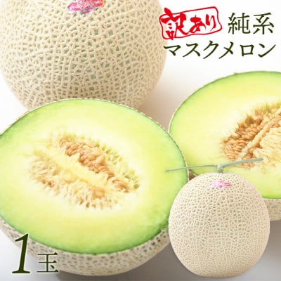 【訳あり】純系マスクメロン1玉　E-24