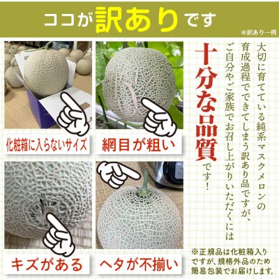 【さとふる限定】【訳あり】純系マスクメロン1玉　E-24