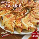 冷凍生餃子48個と特製タレのセット