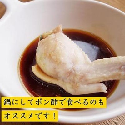 餃子専門店が作った手羽先餃子20本入り