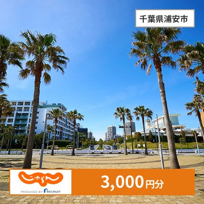 【じゃらんふるさと納税クーポン】 千葉県浦安市でつかえる3,000円 クーポン